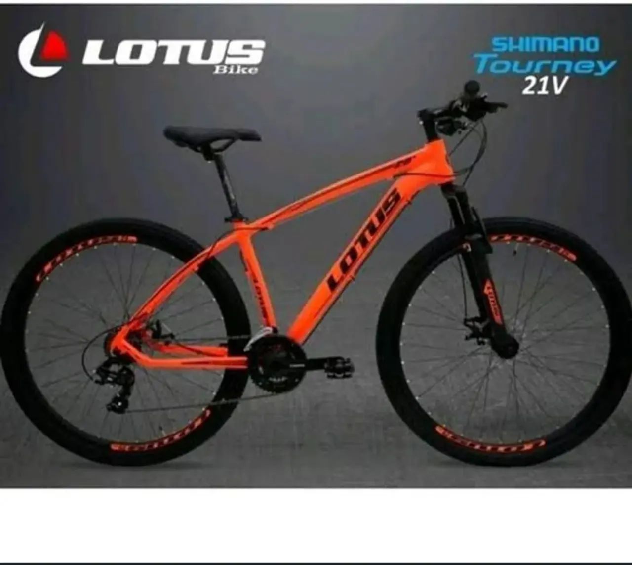 Bicicleta Lótus aro 29 