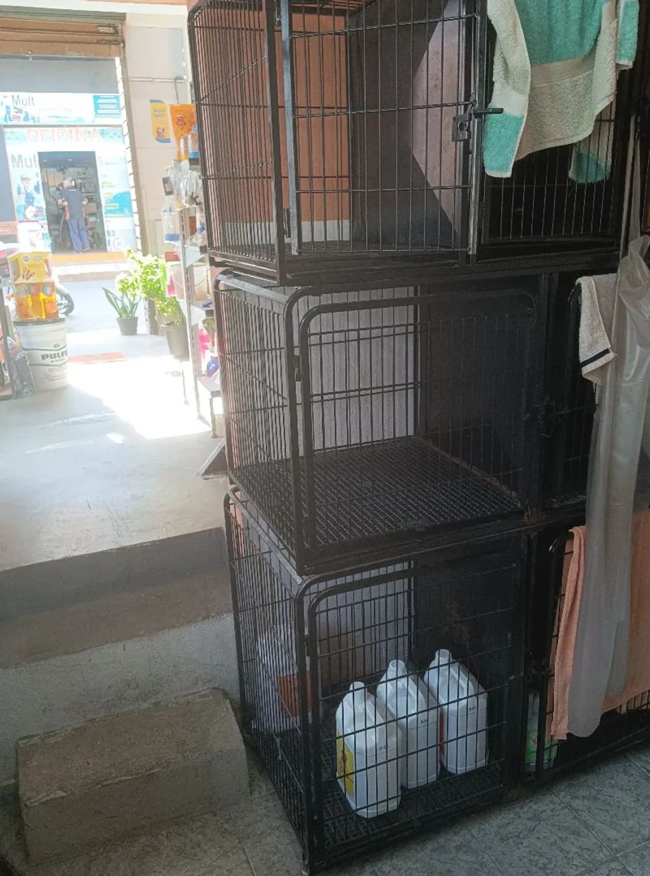 Fundo de PetShop  - Foto 5