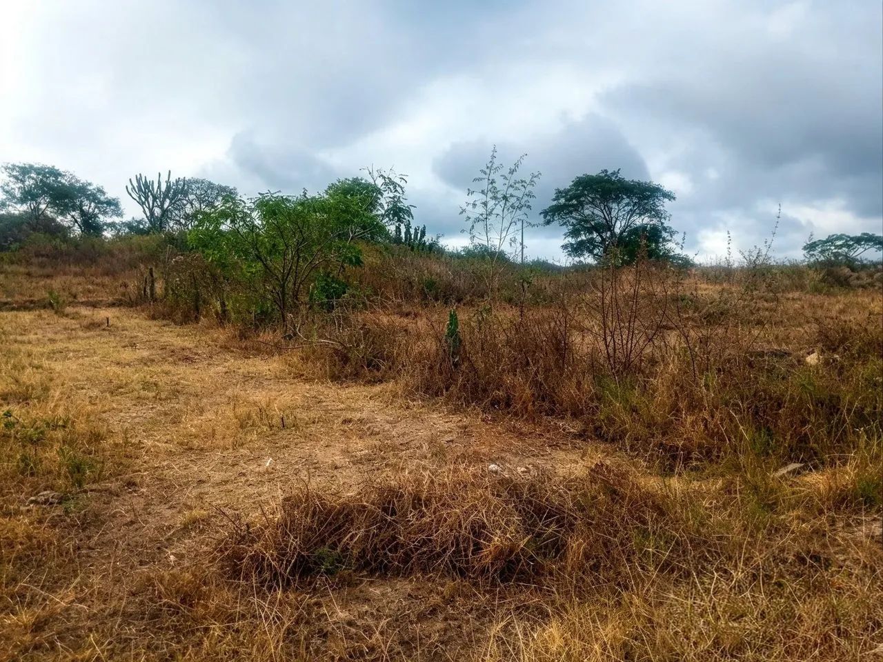 Terreno......... - Foto 2