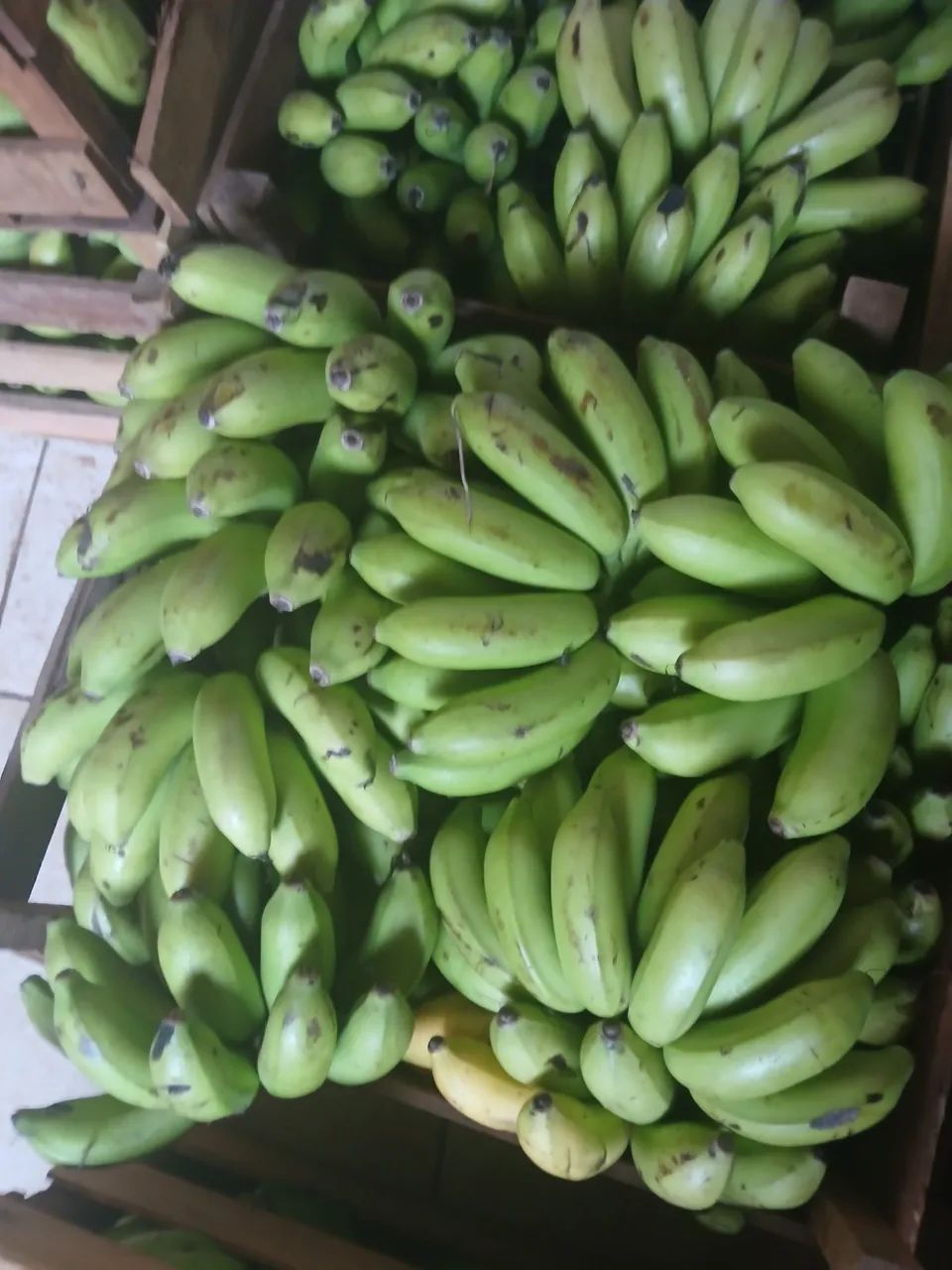 Bananas ?  - Foto 2