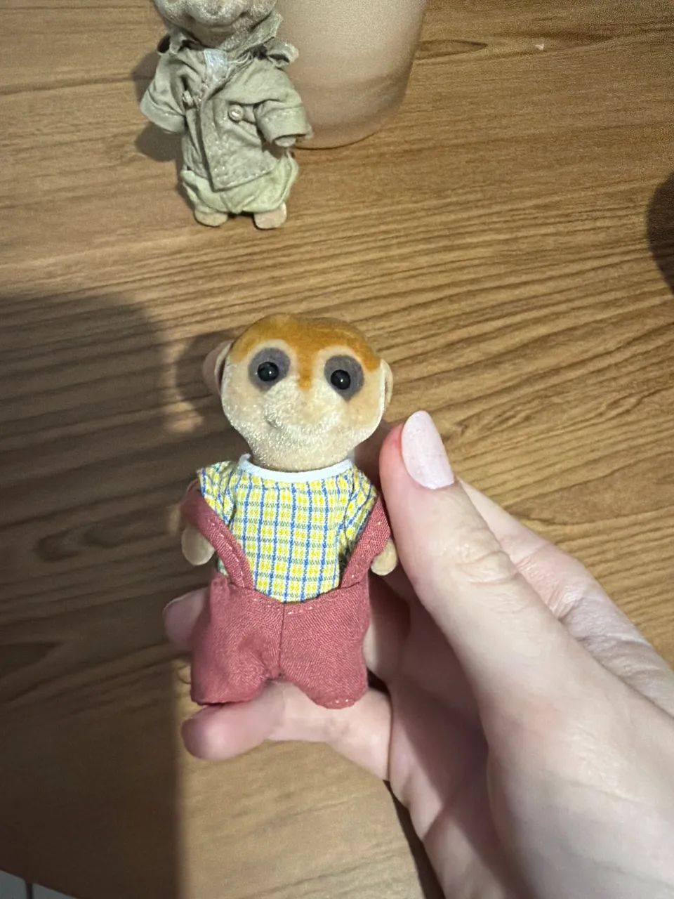 Sylvanian reservado  - Foto 2