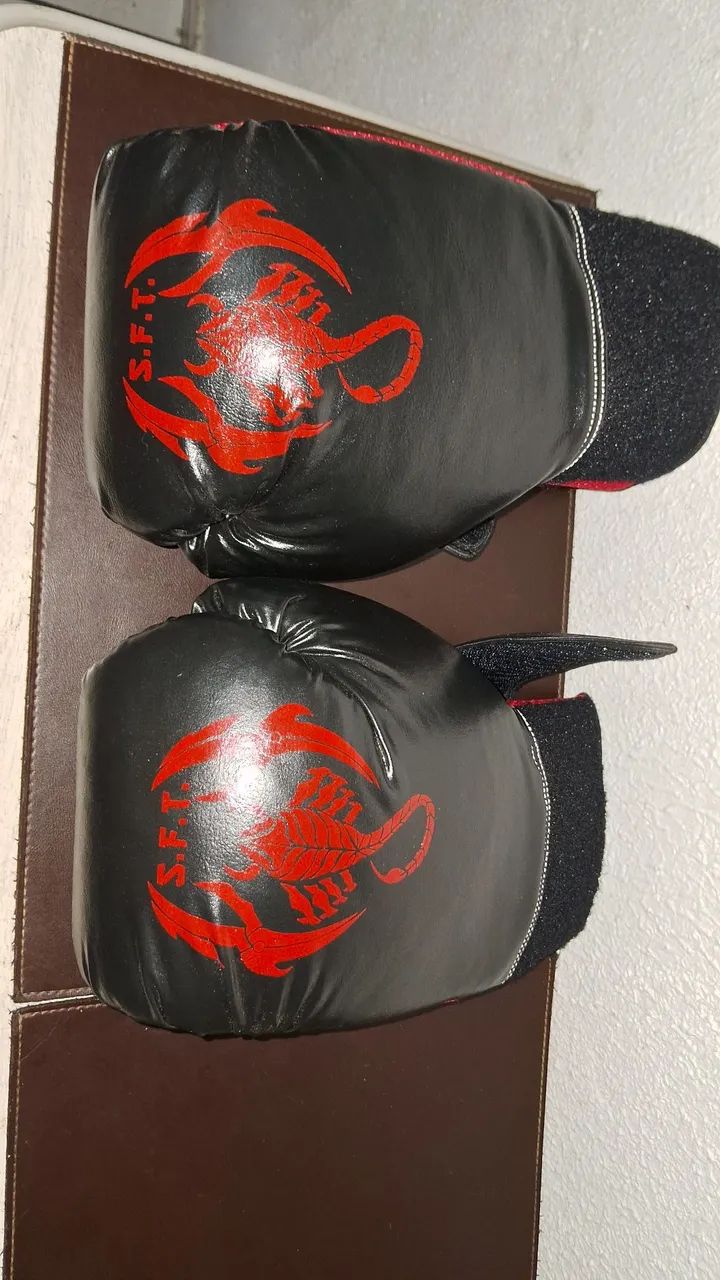 Scorpion Fight Thai  - Foto 4