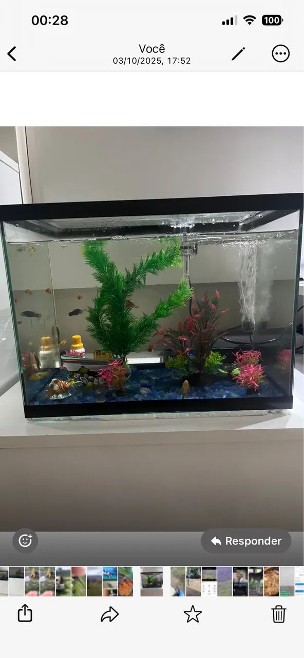 Aquário 424743459137136640