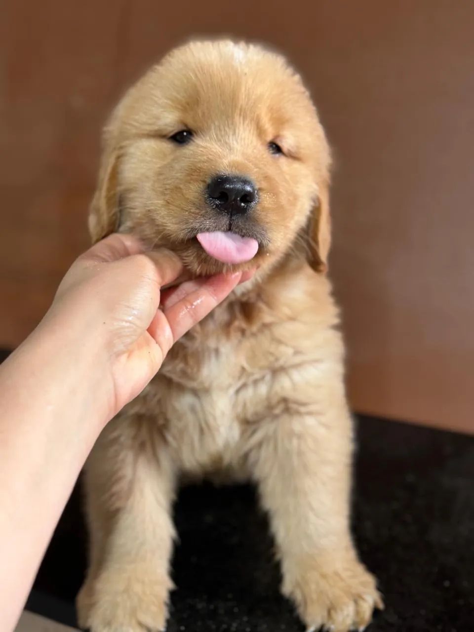 Golden