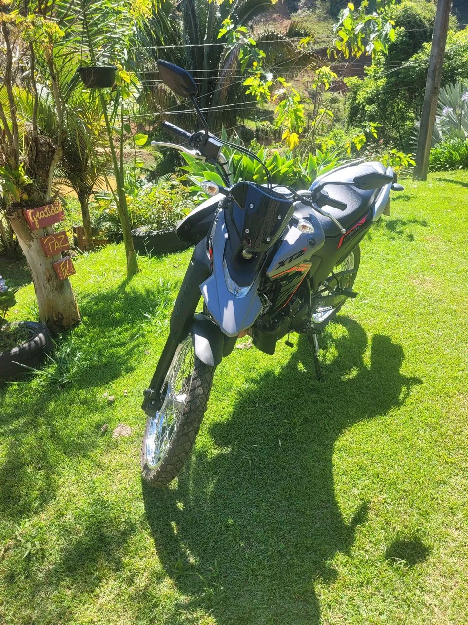 Estado de  zero, linda linda - Foto 5