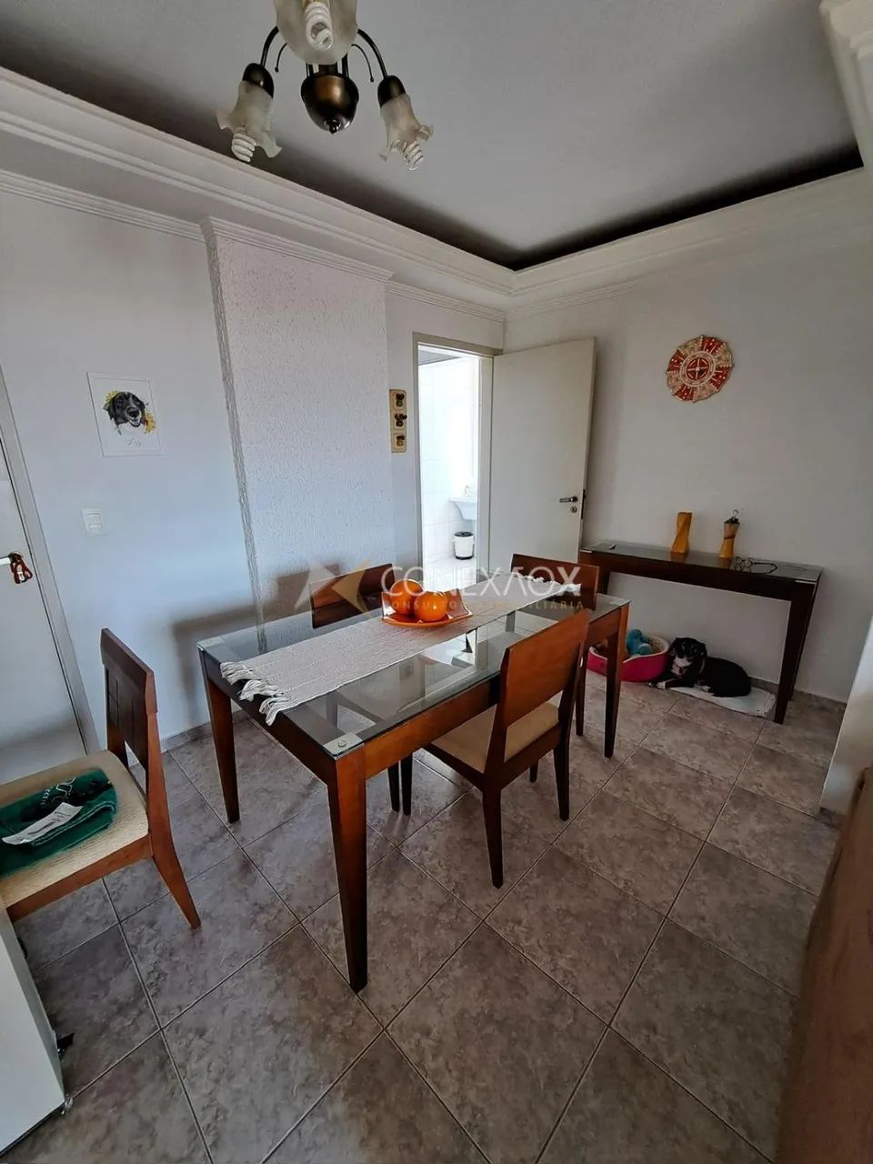 apartamento - São Bernardo - Campinas - Foto 2