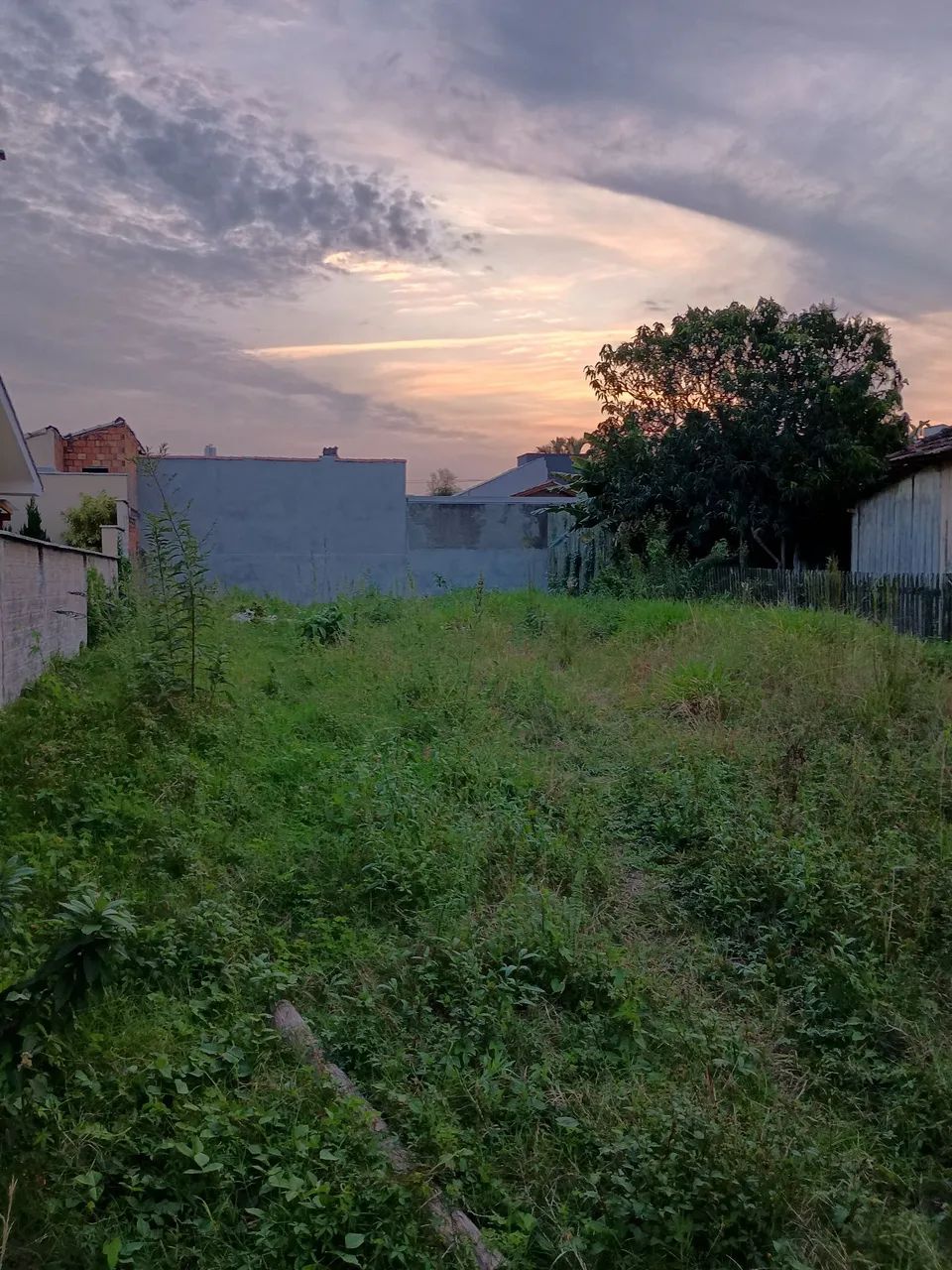 Terreno  - Foto 4