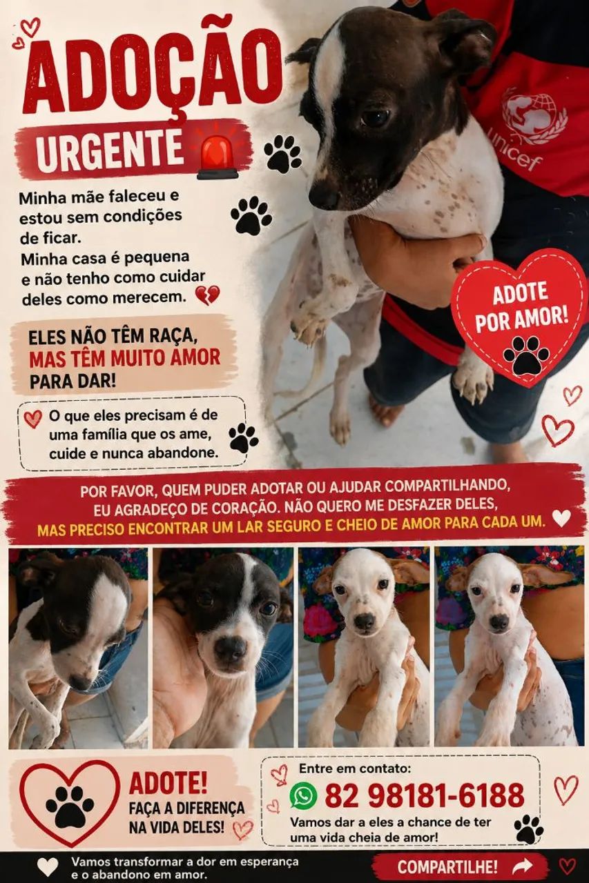 Adoção 