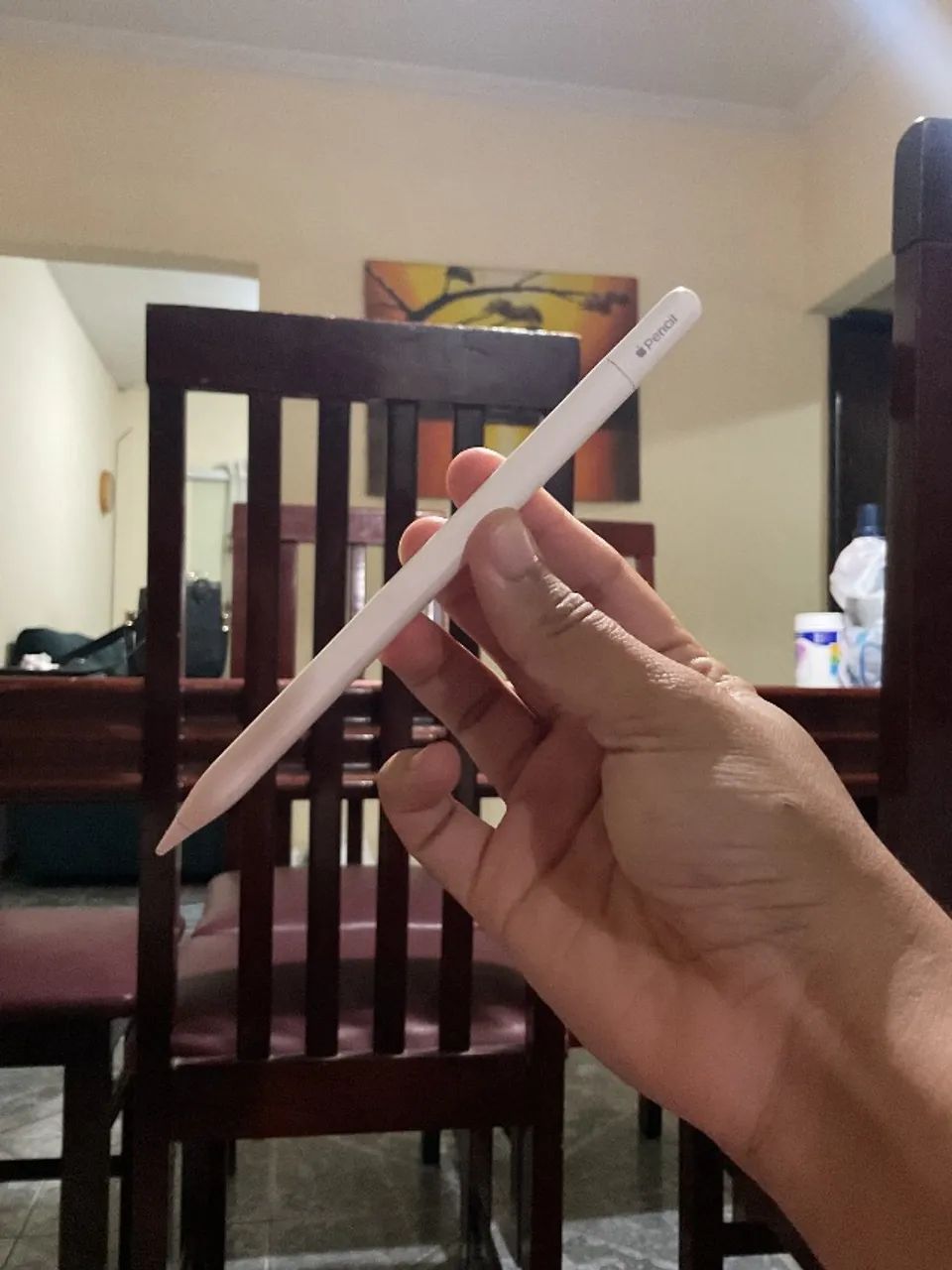 APPLE PENCIL USB-C em perfeito estado de funcionamento 