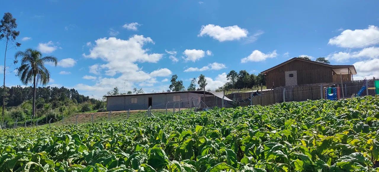 Chácara a venda oportunidade  - Foto 3