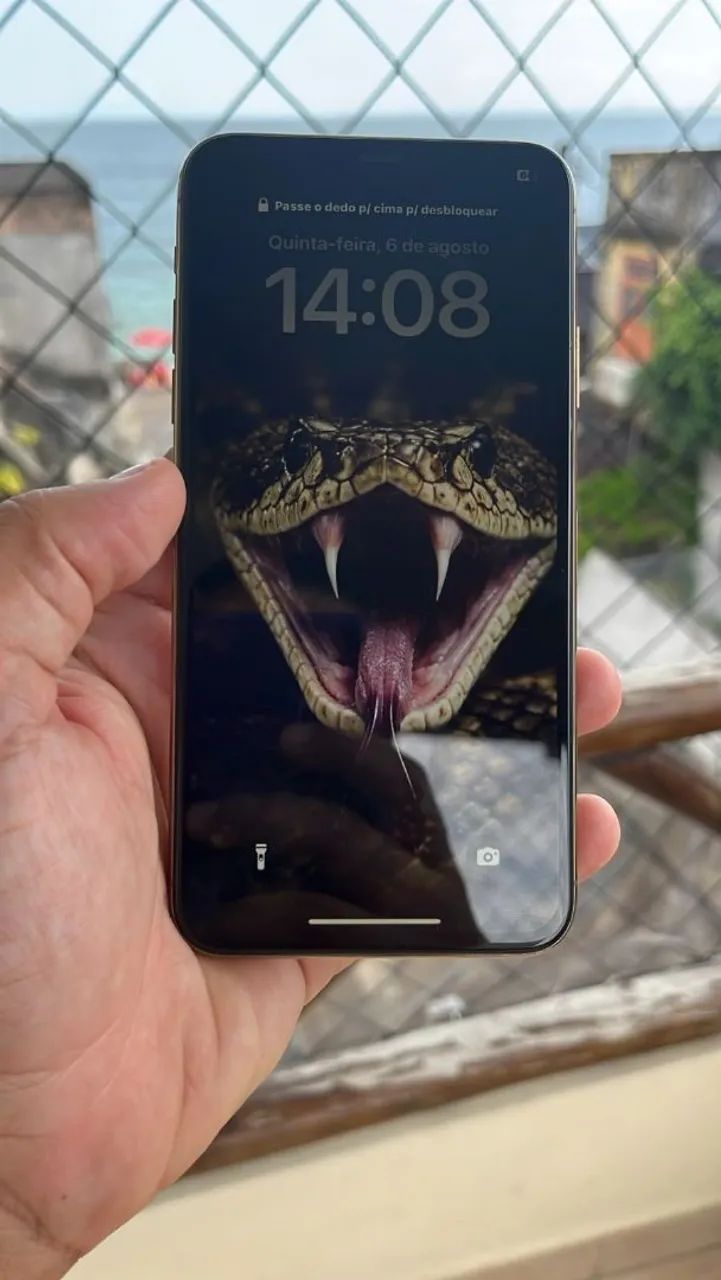 iPhone 11 Pró Max