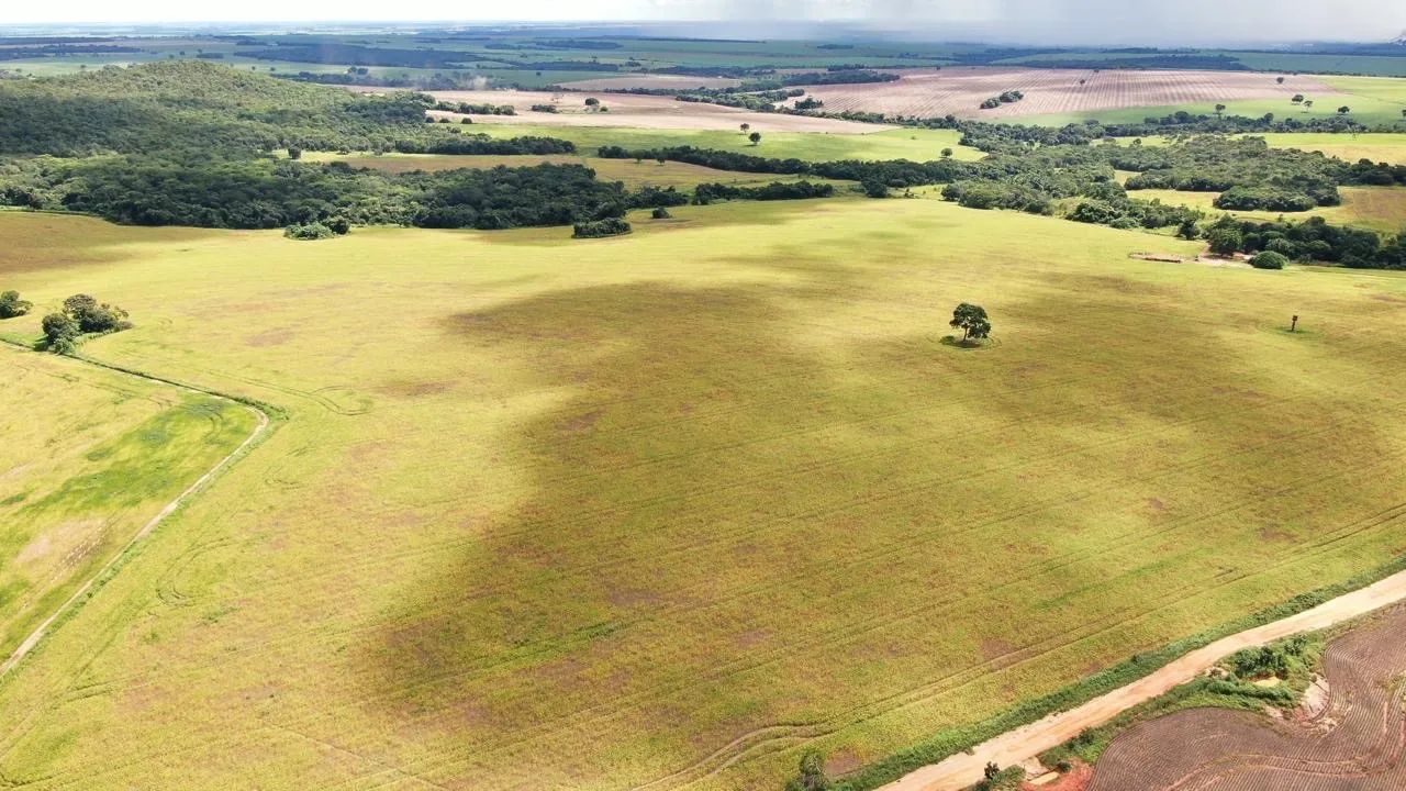 Fazenda em Indiara-Go - Foto 2