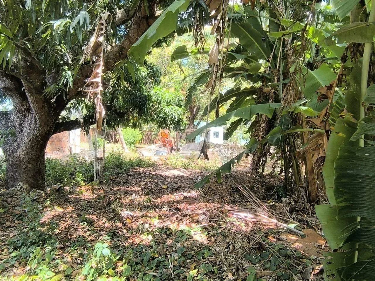 Oportunidade Única: Sítio de 9.000m² para Empreendimento Imobiliário! ??? - Foto 3