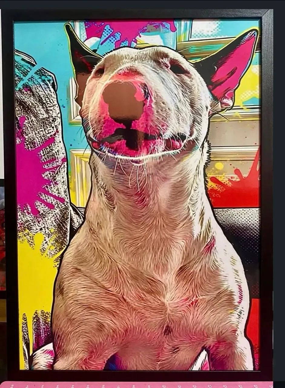 Pets - Foto 2