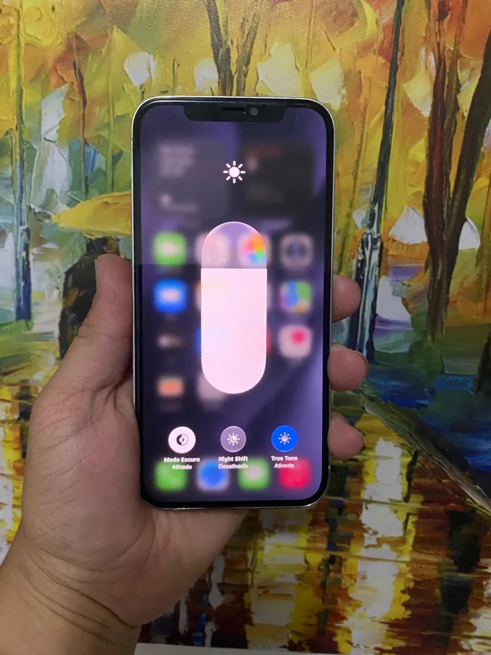 IPHONE 12 PRO 5G 512G (TROCAS COM VOLTA$) - Foto 4