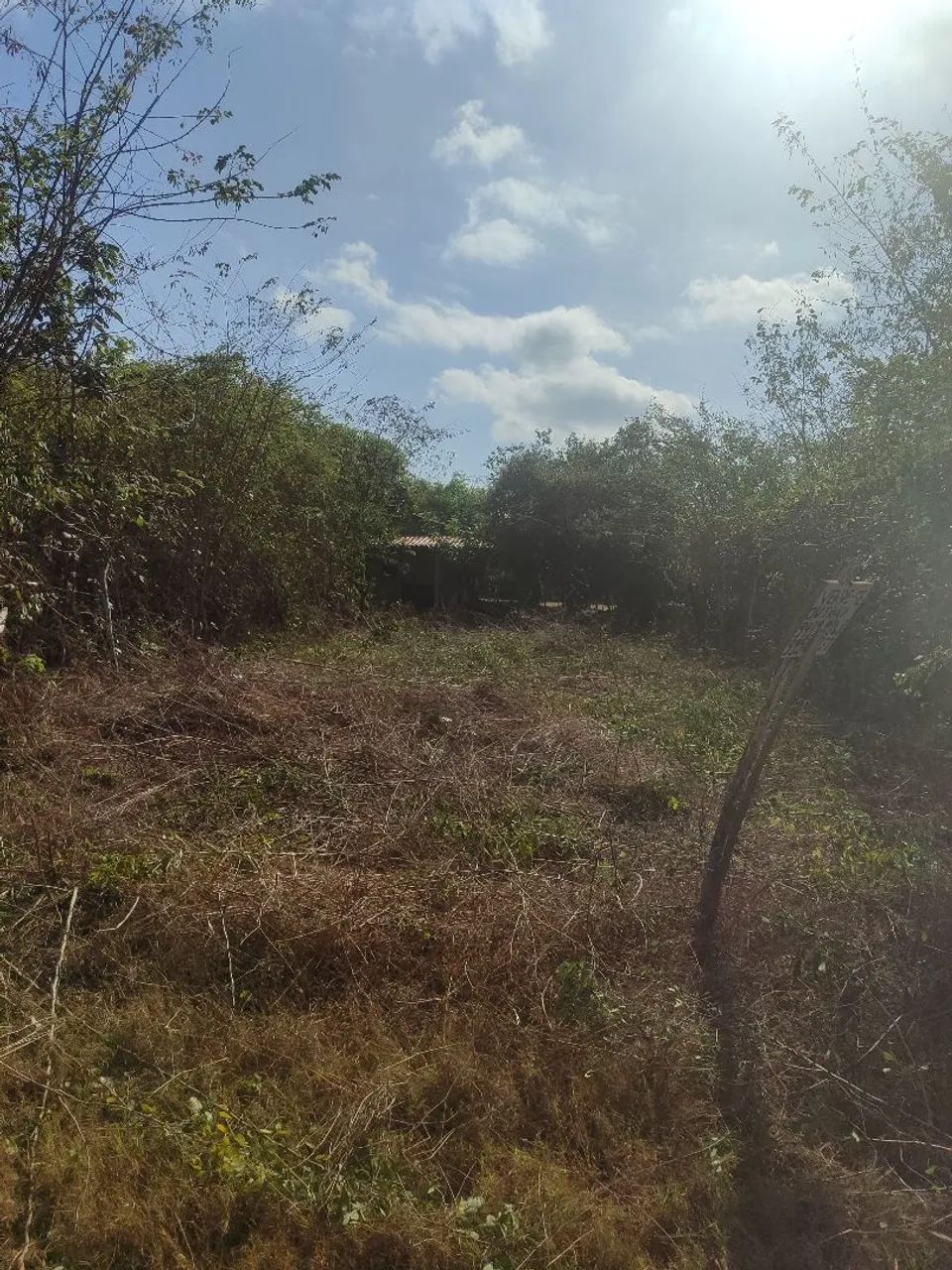 Vende _se - Foto 4