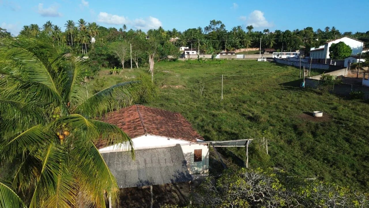 Granja de jadson da pamonha