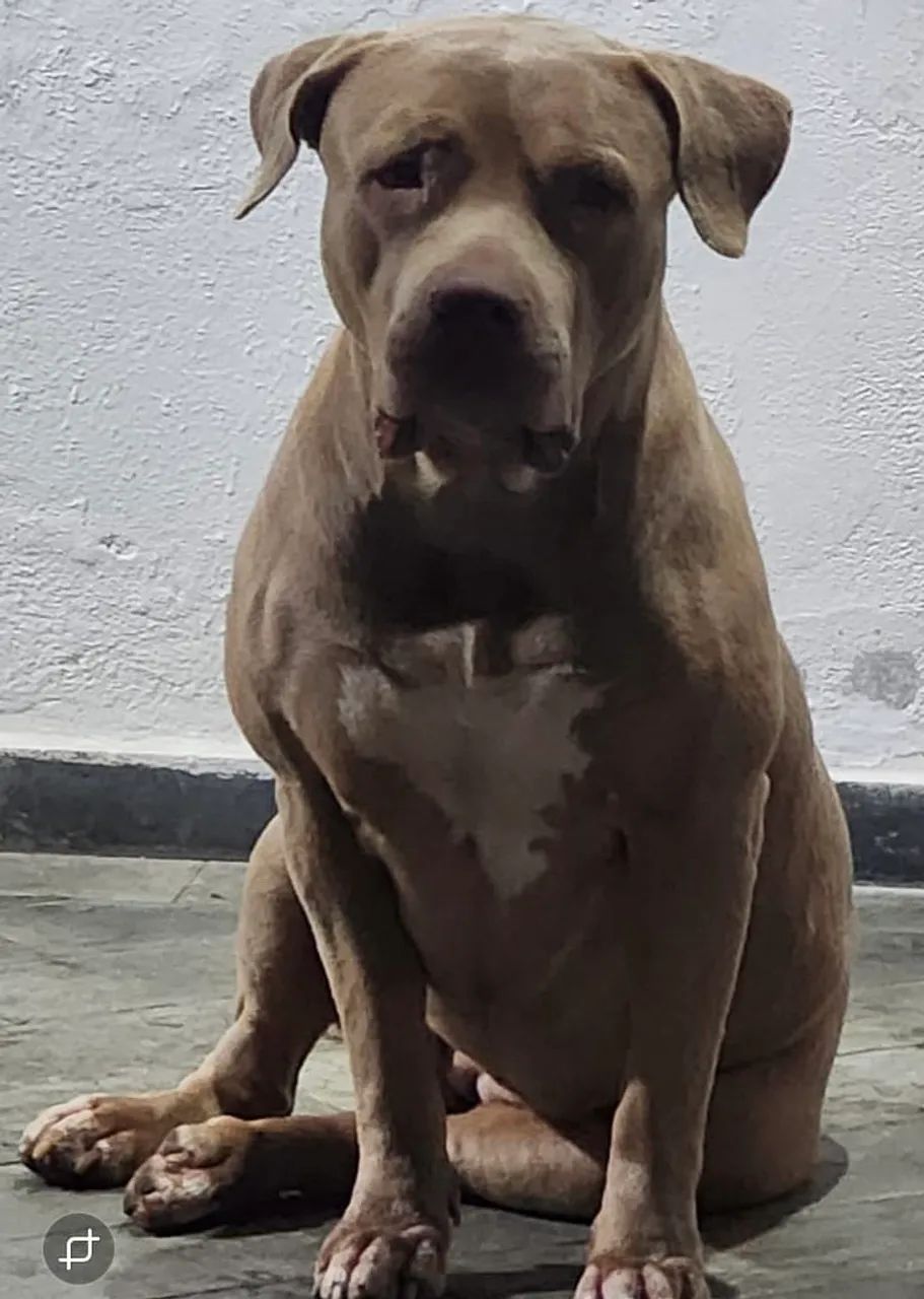 Pit monster 