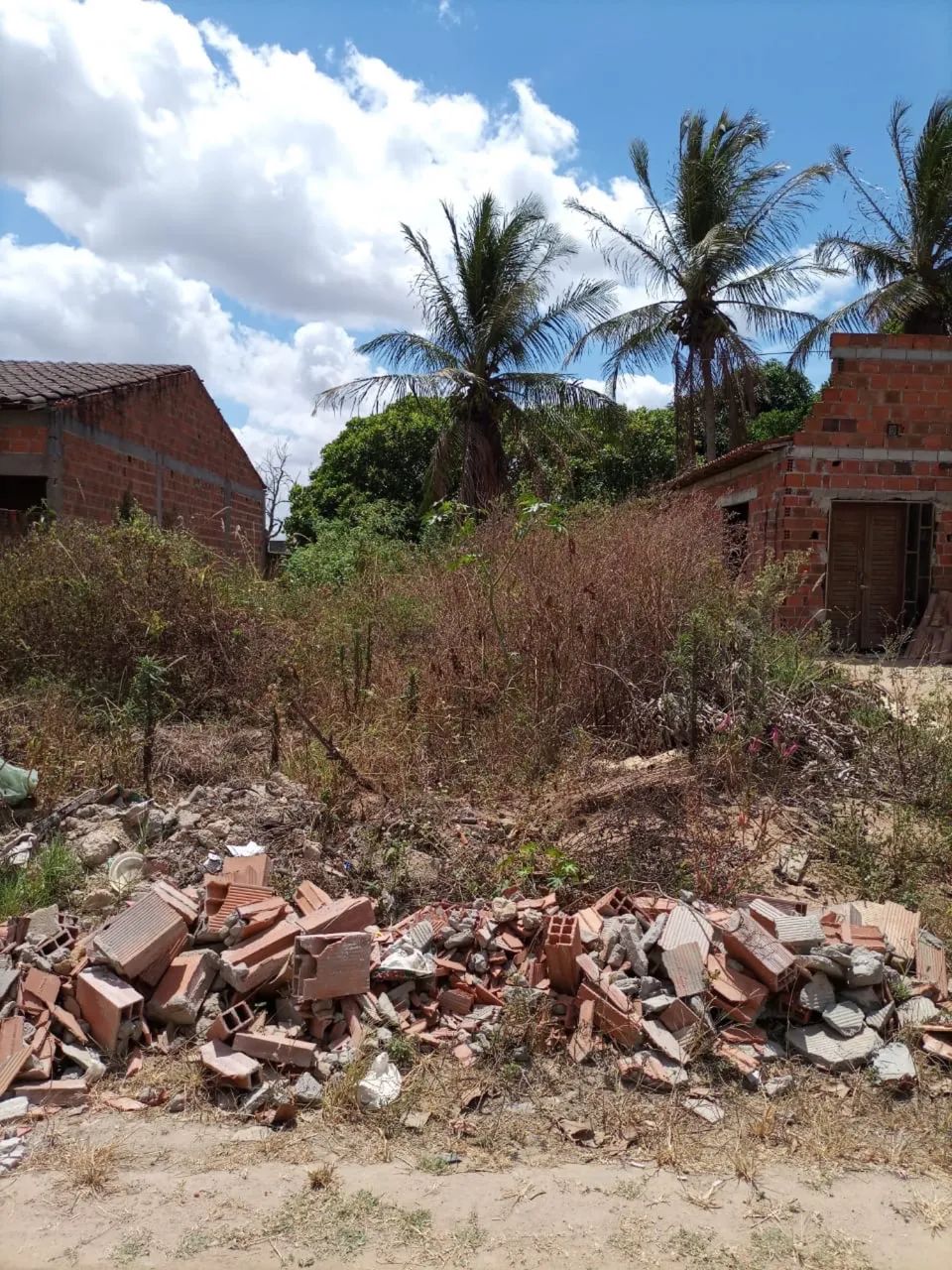 TERRENO NO BAIRRO MASSARANDUBA EM ARAPIRACA  - Foto 2
