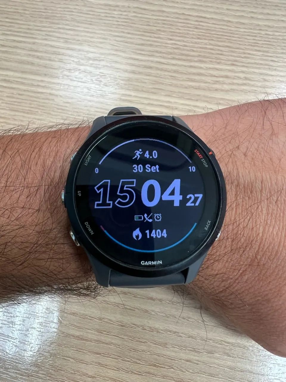 Garmin Fr 255