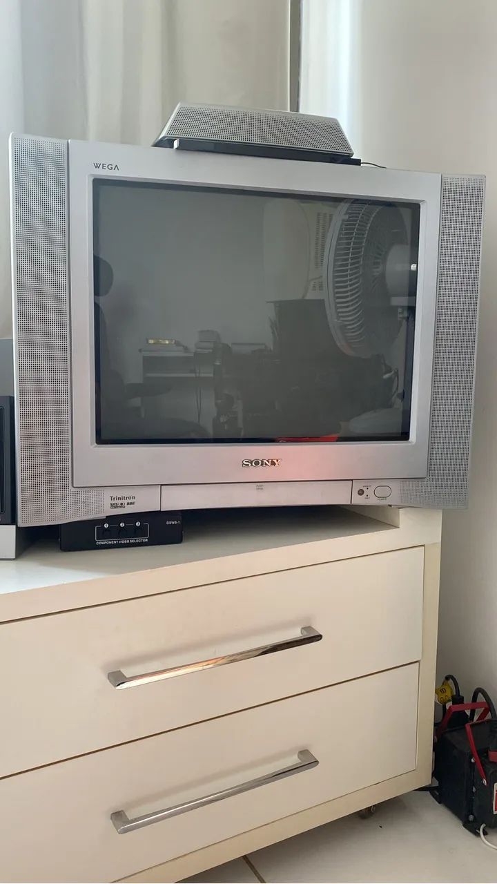 Sony Wega 21 polegadas 