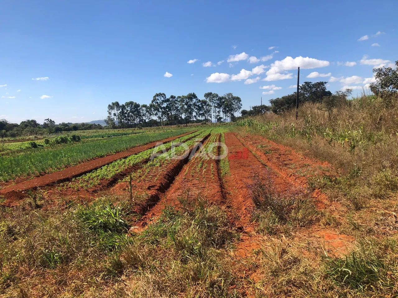 Área com 114.000 saída da Ethernit alta valorização - Foto 4