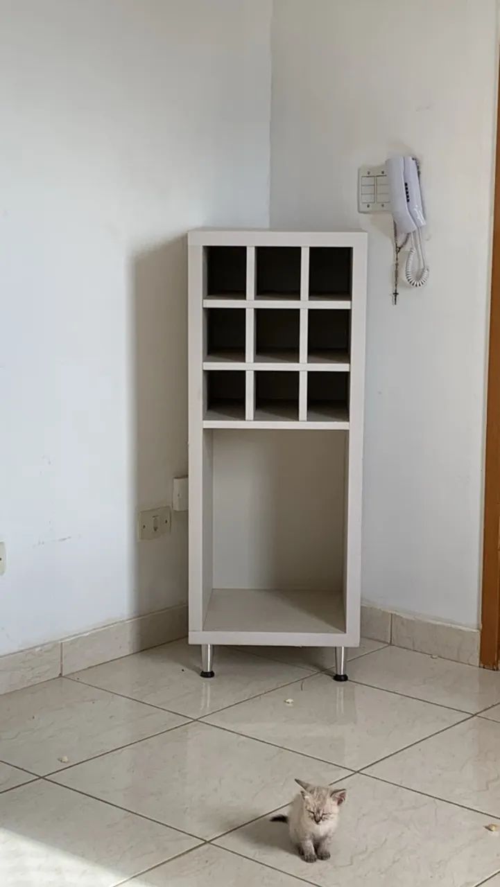 Adega de vinho/ móvel salão 