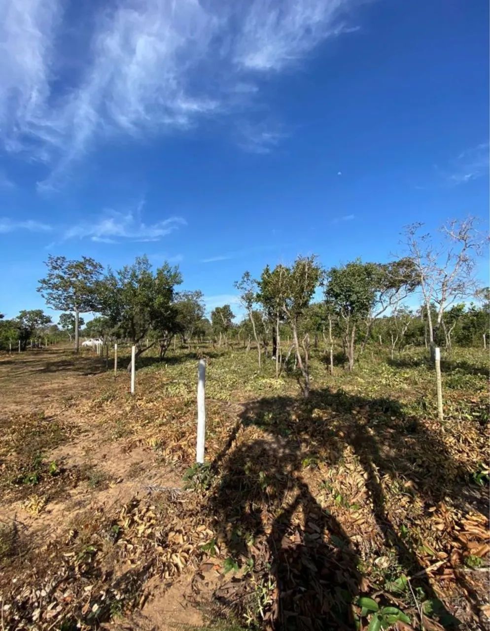 VENDO rancho - LOTE - 2 KM da cidade!  - Foto 3