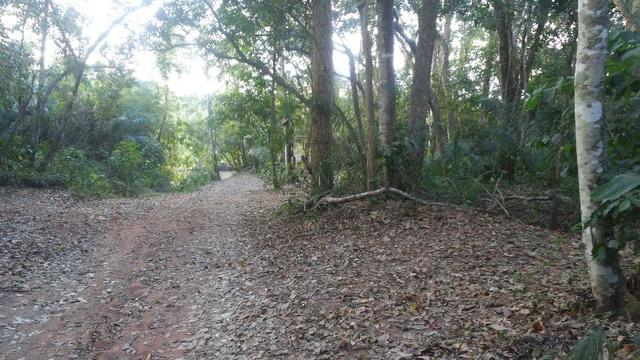Pesqueiro Cond. da Barra - Rio Aquidauana com o Ceroula - Foto 18