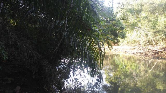 Pesqueiro Cond. da Barra - Rio Aquidauana com o Ceroula - Foto 10