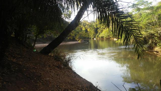 Pesqueiro Cond. da Barra - Rio Aquidauana com o Ceroula - Foto 2