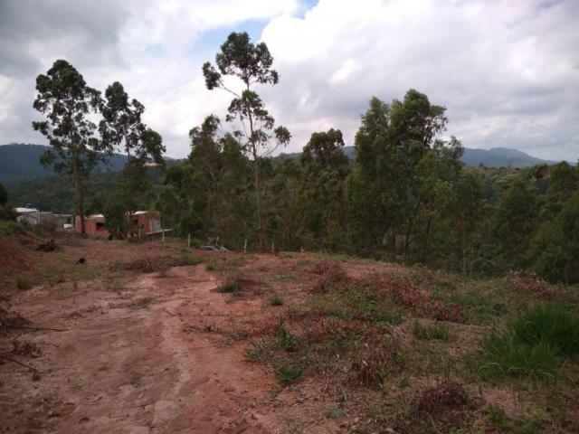 Terreno à venda, 1200 m² por R$ 80.000 - São Vicente - Mairiporã/SP - Foto 12