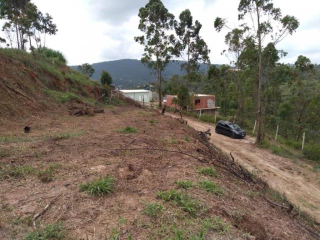 Terreno à venda, 1200 m² por R$ 80.000 - São Vicente - Mairiporã/SP - Foto 8