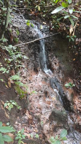 Chácara Manso (CHAPADA) - Foto 11