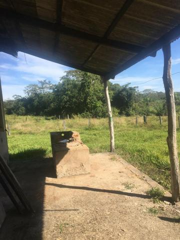 Sítio na Comunidade Carrijo à 60 Km do Trevo do Lagarto - Foto 11