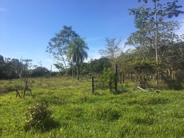Sítio na Comunidade Carrijo à 60 Km do Trevo do Lagarto - Foto 8
