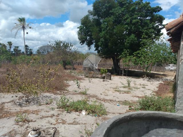 Terreno de 58 hactares com casa - Foto 5