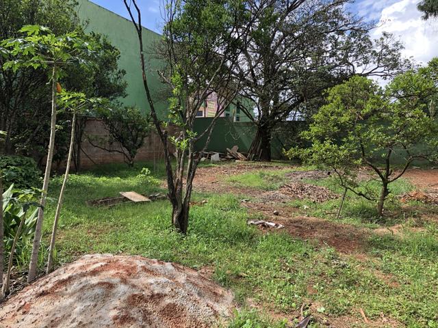 Excelente lote comercial 400 m rua 8 Vicente Pires - Foto 8