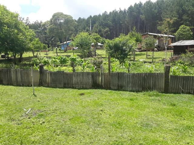 Linda Chácara 24.200 m2 ( 1 Alqueire) com 2 Casas - Palmas PR - Foto 8