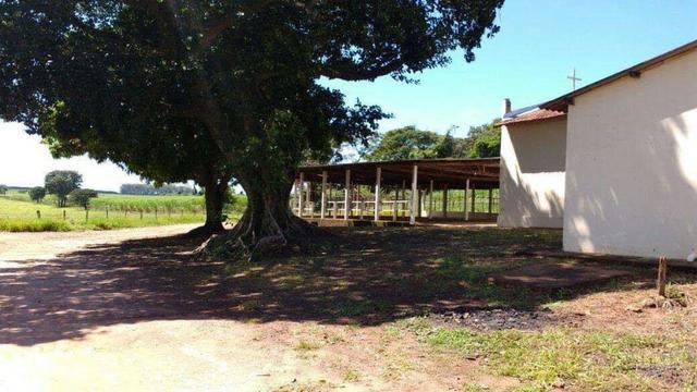 Chácara baixou pra vender logo! - Foto 6