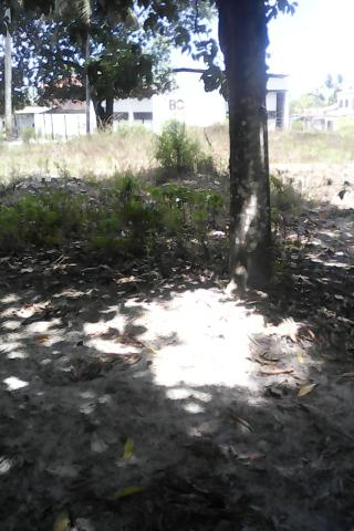 Vende-se uma chácara 1.800.000.00 - Foto 4