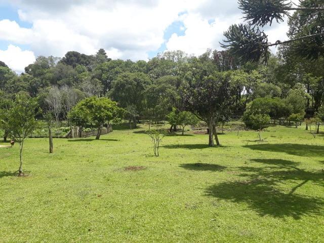 Linda Chácara 24.200 m2 ( 1 Alqueire) com 2 Casas - Palmas PR - Foto 17