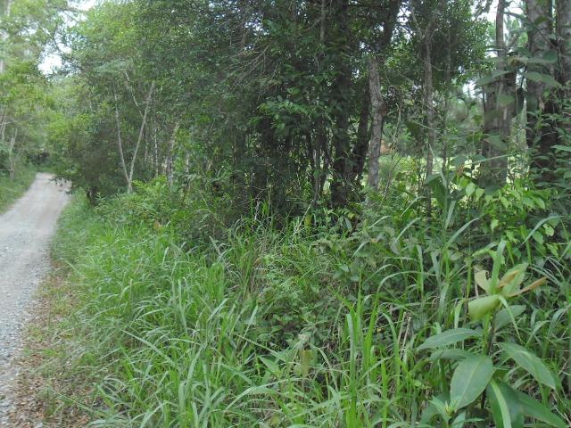 Terreno Excelente, Plano, Barato, Embura, 2.500m, R$ 40 Mil - Foto 5