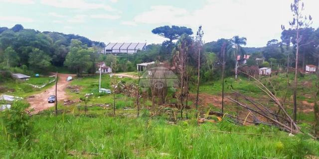 Chácara à venda em Ferraria, Campo largo cod:149101 - Foto 2