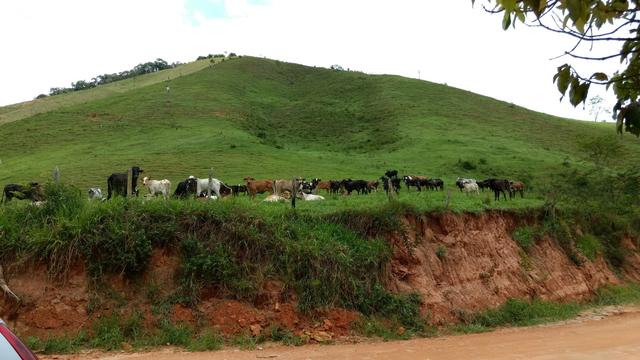 Fazenda de 40 Alqueires - Foto 7