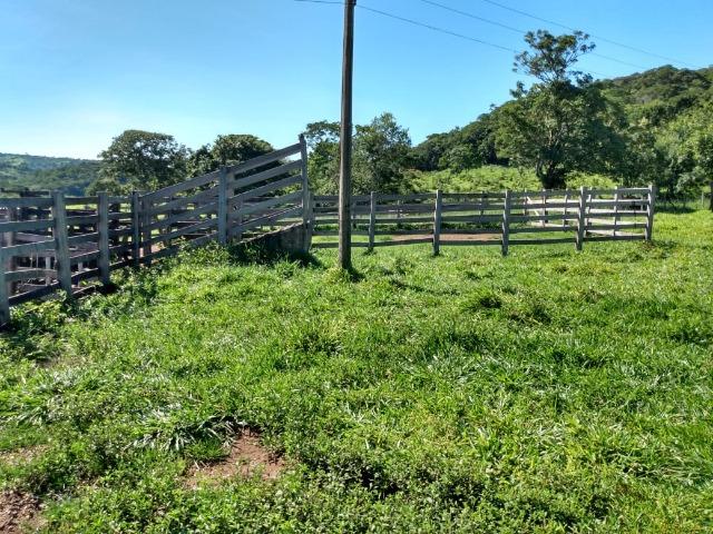 Fazenda no município de Bonfinópolis 24 alqueires - Foto 11