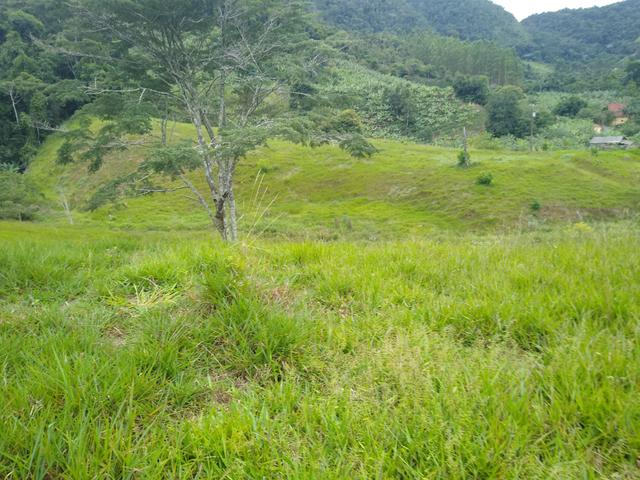 Sítio Viana são Paulo - Foto 13
