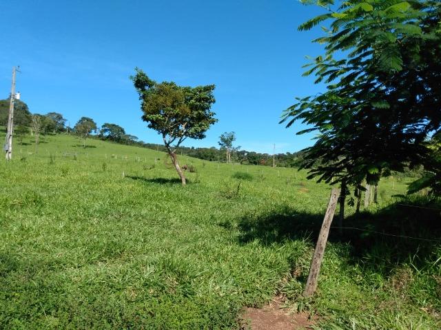 Fazenda no município de Bonfinópolis 24 alqueires - Foto 8