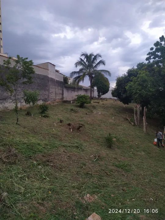 Roçagem limpeza de terrenos 