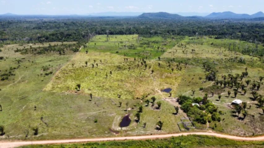 Vendo dois lotes no sul de Roraima.  - Foto 4